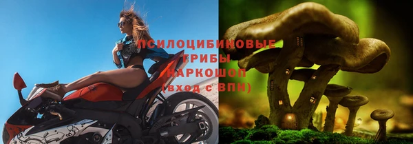 сатива Володарск