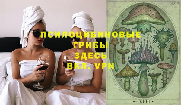 сатива Володарск