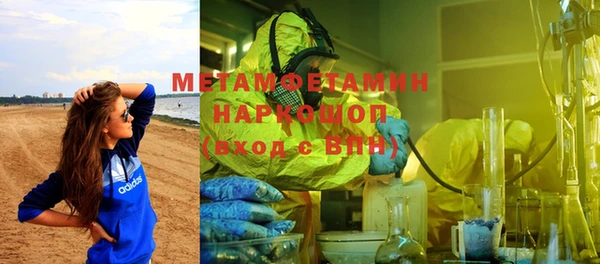 сатива Володарск
