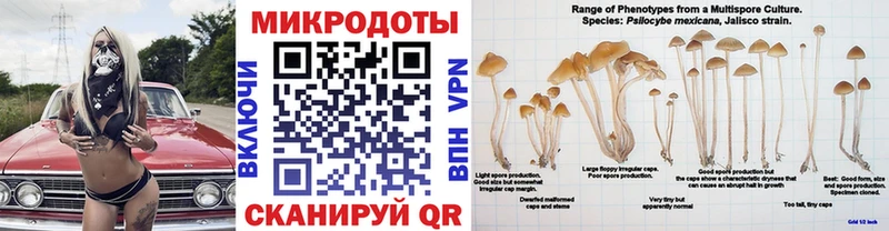 Галлюциногенные грибы GOLDEN TEACHER  Петрозаводск 